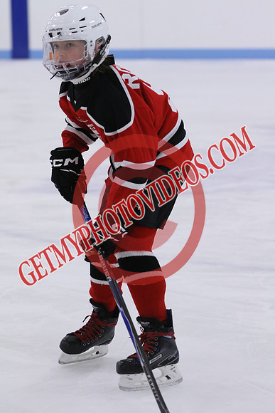 7Z7A2155_9 00 am - U11LL - Northumberland Nighthawks Red 67s vs Orono Leafs 2
