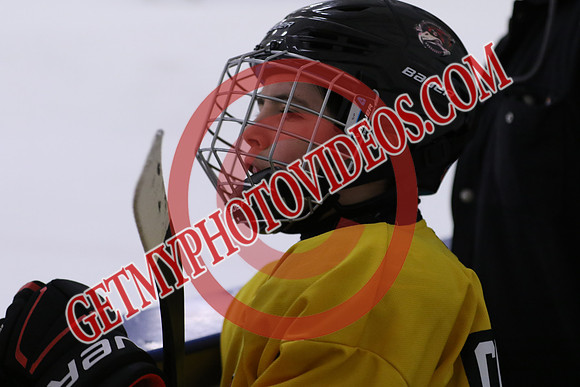 7Z7A0134_1 00 pm - U13LL - Grafton Gryphons vs Clarington Thunder 7 Yellow
