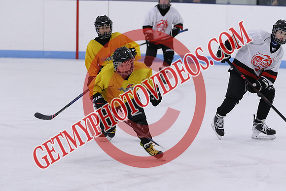 7Z7A0366_1 00 pm - U13LL - Grafton Gryphons vs Clarington Thunder 7 Yellow