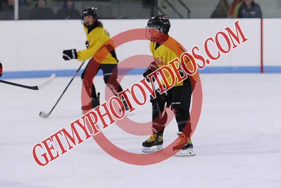 7Z7A1265_1 00 pm - U13LL - Grafton Gryphons vs Clarington Thunder 7 Yellow
