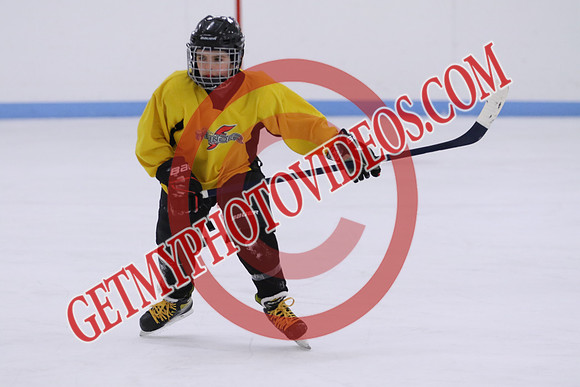 7Z7A1286_1 00 pm - U13LL - Grafton Gryphons vs Clarington Thunder 7 Yellow