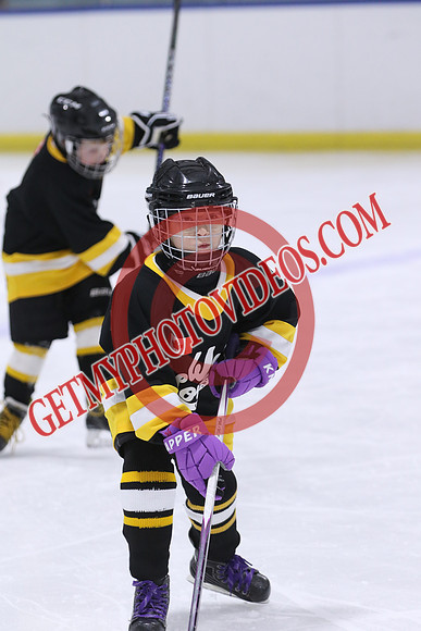 20260117-32961_8 00 am - U9LL - West Lorne vs Lucan 1 - CENT