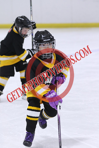 20260117-32962_8 00 am - U9LL - West Lorne vs Lucan 1 - CENT