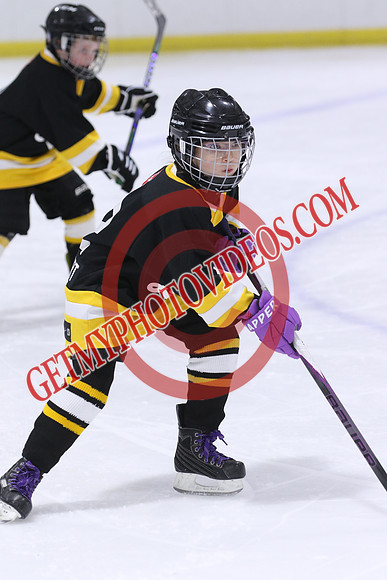 20260117-32963_8 00 am - U9LL - West Lorne vs Lucan 1 - CENT