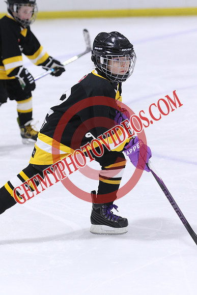 20260117-32964_8 00 am - U9LL - West Lorne vs Lucan 1 - CENT