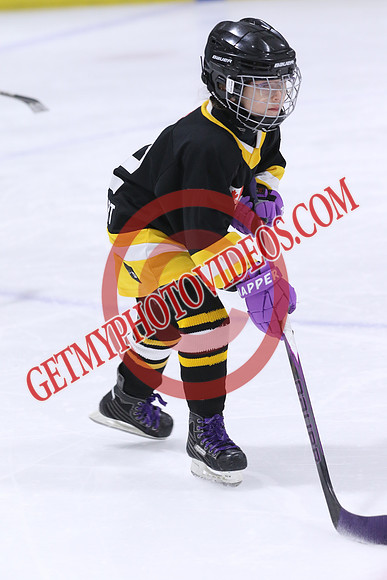 20260117-32968_8 00 am - U9LL - West Lorne vs Lucan 1 - CENT
