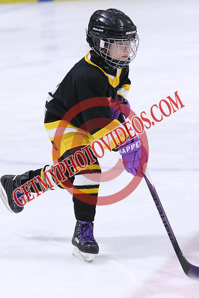 20260117-32969_8 00 am - U9LL - West Lorne vs Lucan 1 - CENT