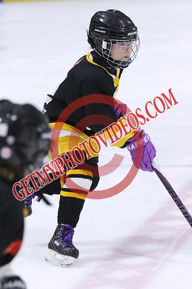20260117-32970_8 00 am - U9LL - West Lorne vs Lucan 1 - CENT