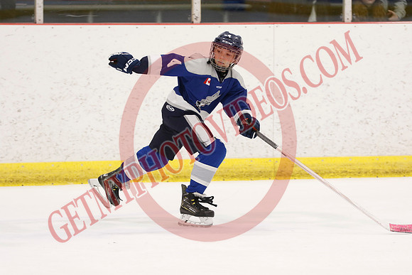 _63A1849_1 00 pm - U12 A - Sudbury Wolves vs Newmarket Renegades - Atlas