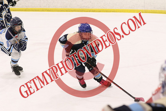 20260131-56529