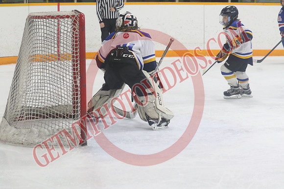 7Z7A0585