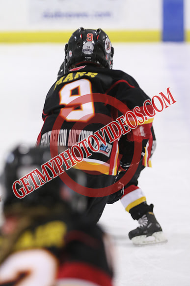 7Z7A1499_12 15 pm - LL1 vs Winner A 14 vs Winner A 13 - Eastlink
