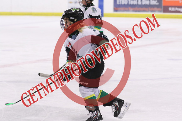 7Z7A3871_1 45 pm - LL2 - Aylmer White vs Petrolia - Eastlink