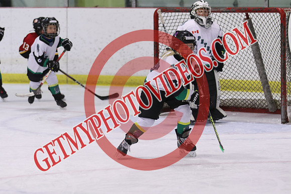 7Z7A4289_1 45 pm - LL2 - Aylmer White vs Petrolia - Eastlink