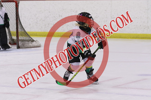 7Z7A4291_1 45 pm - LL2 - Aylmer White vs Petrolia - Eastlink