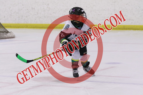 7Z7A4293_1 45 pm - LL2 - Aylmer White vs Petrolia - Eastlink