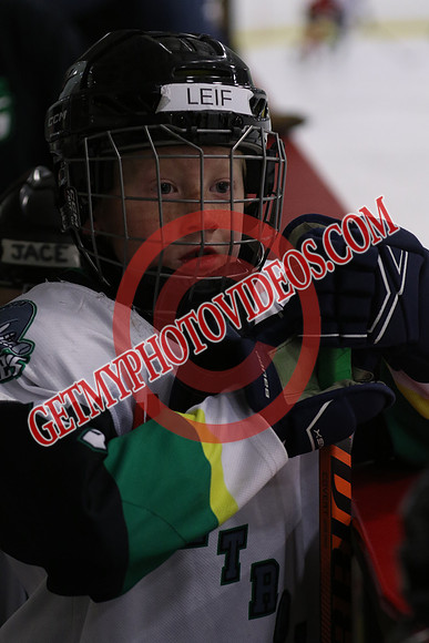 7Z7A2972