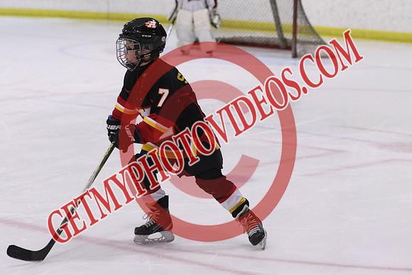 7Z7A7295