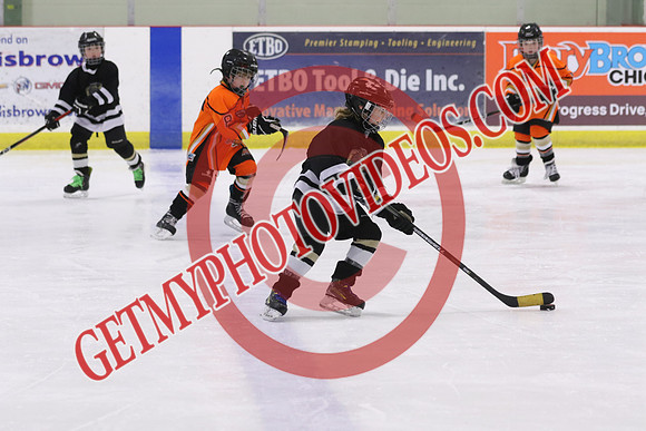7Z7A1013