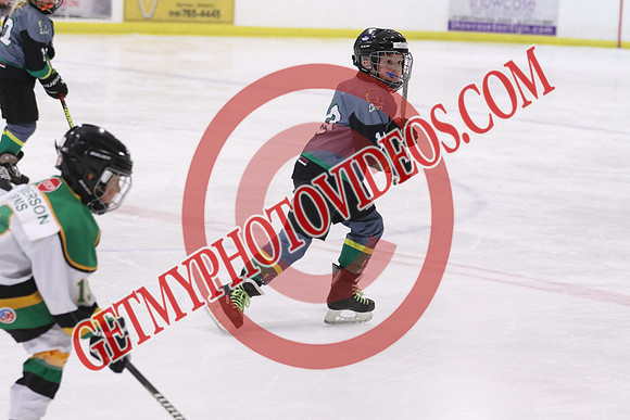 7Z7A0043