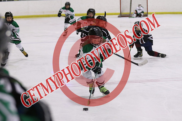 7Z7A5442