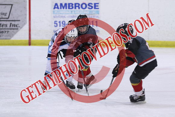 7Z7A0291