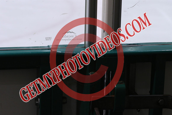 7Z7A3032