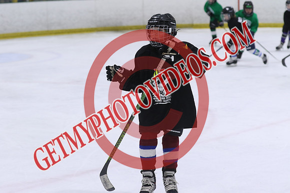 7Z7A2397