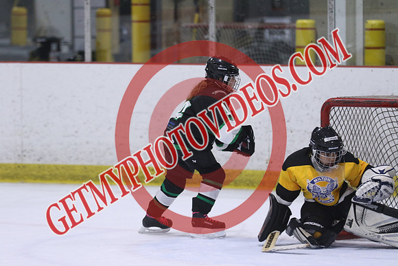 7Z7A1949