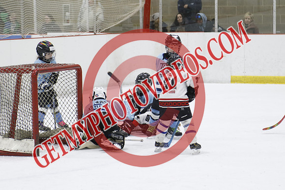95A6811