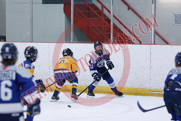 _63A8247_10 15 am - U12A - Collingwood Jr Blues vs Sudbury Wolves - NewRoads