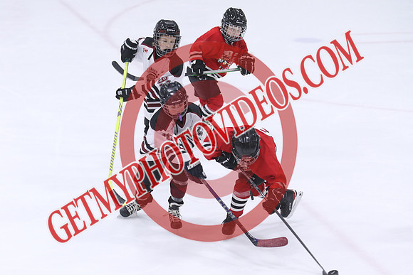 7Z7A4652