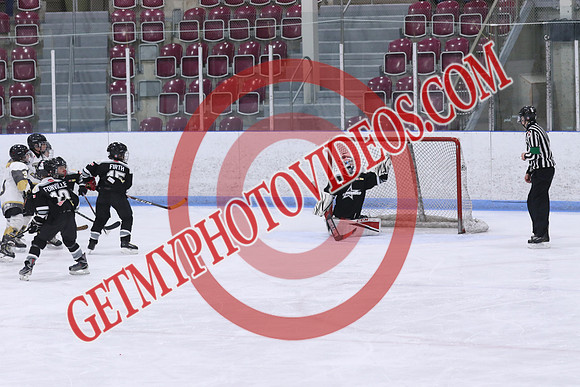 7Z7A5483_10 00 am - U11 - St Thomas Stars vs South Grey Spartans - MEM