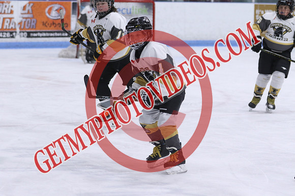 7Z7A6577_10 00 am - U11 - St Thomas Stars vs South Grey Spartans - MEM