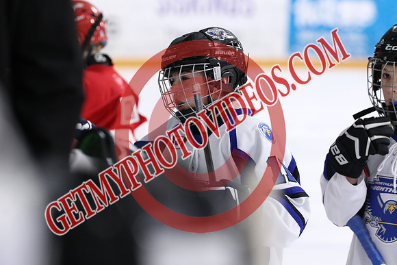 7Z7A8191_9 15 am - U9MD T1 - Ausable Valley Coyotes vs Northumberland Nighthawks - STMHA