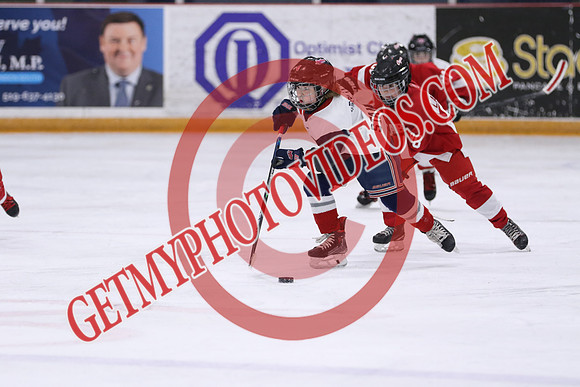 7Z7A1259_2 15 pm - U9MD T2 - Ausable Valley Coyotes vs Strathroy Jr Rockets - STMHA