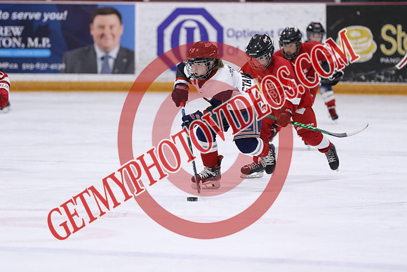 7Z7A1260_2 15 pm - U9MD T2 - Ausable Valley Coyotes vs Strathroy Jr Rockets - STMHA