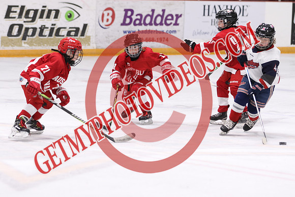7Z7A1276_2 15 pm - U9MD T2 - Ausable Valley Coyotes vs Strathroy Jr Rockets - STMHA