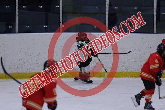 7Z7A0347