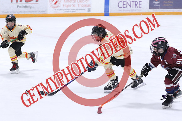 7Z7A2527