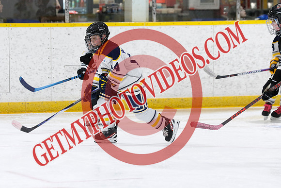 _63A7060_1 50 PM-U11 LL HL-Port Stanley Junior Sailors vs New Hamburg Huskies U11 LL2-Ingersoll