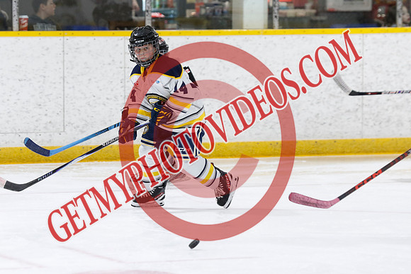 _63A7061_1 50 PM-U11 LL HL-Port Stanley Junior Sailors vs New Hamburg Huskies U11 LL2-Ingersoll