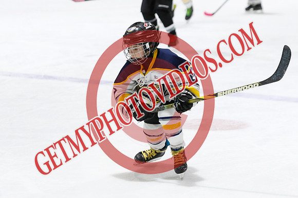 _63A7123_1 50 PM-U11 LL HL-Port Stanley Junior Sailors vs New Hamburg Huskies U11 LL2-Ingersoll