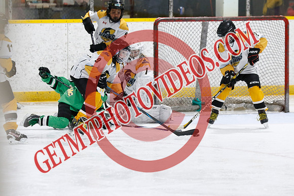 _63A3390_12 40 PM-U11 LLHL-Tavistock u11 LL vs Twin Centre Stars–Ingersoll