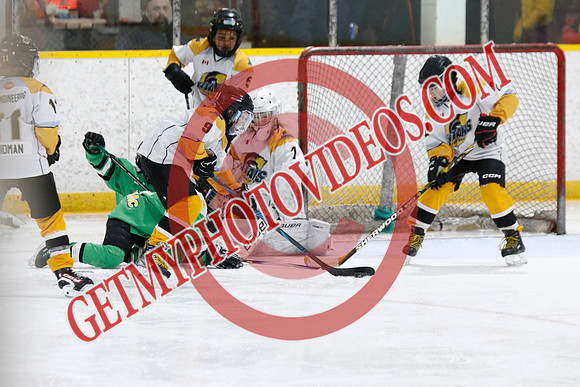 _63A3389_12 40 PM-U11 LLHL-Tavistock u11 LL vs Twin Centre Stars–Ingersoll