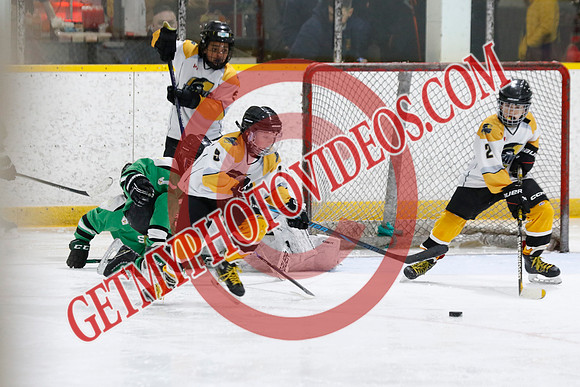 _63A3393_12 40 PM-U11 LLHL-Tavistock u11 LL vs Twin Centre Stars–Ingersoll