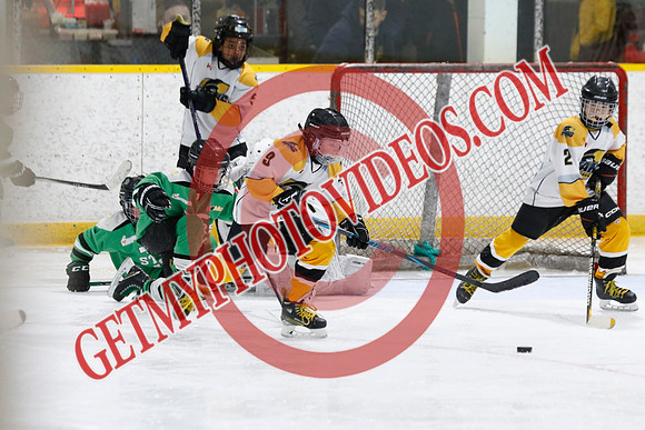 _63A3394_12 40 PM-U11 LLHL-Tavistock u11 LL vs Twin Centre Stars–Ingersoll