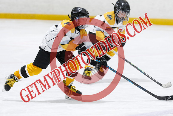 _63A3405_12 40 PM-U11 LLHL-Tavistock u11 LL vs Twin Centre Stars–Ingersoll