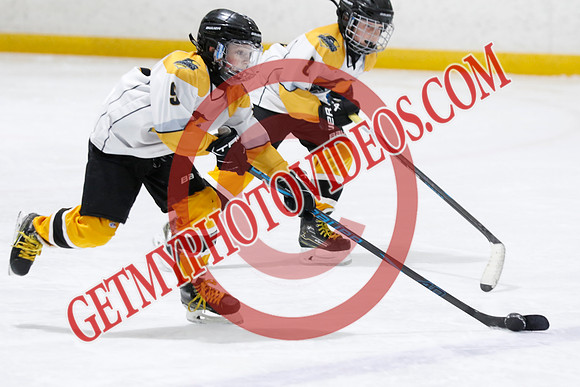 _63A3406_12 40 PM-U11 LLHL-Tavistock u11 LL vs Twin Centre Stars–Ingersoll