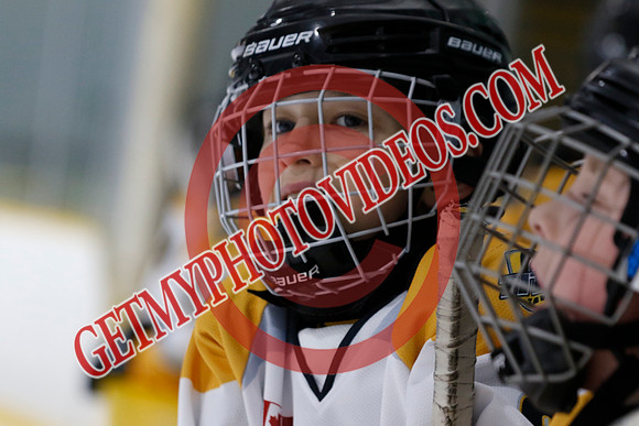 _63A3445_12 40 PM-U11 LLHL-Tavistock u11 LL vs Twin Centre Stars–Ingersoll